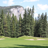 Mountains & tall trees in Banff Alberta National Park 25