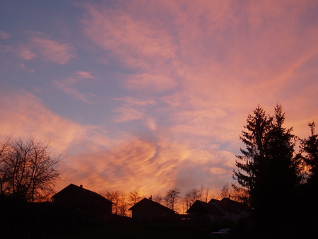 Red Clouds - cloud, trees, sunset, nature