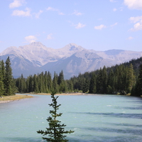 River & mountains with a tall trees in Banff Alberta National Park 29