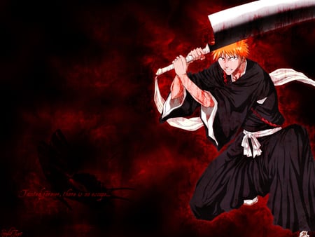 Ichigo blood rune - to help others, do eney thing, ichigo, soul reaper, the only, that will