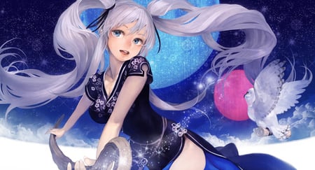 Midnight Bliss - pretty, bird, dress, white hair, stunning, animal, mabinogi, nao, moon, anime girl, twintails, beautiful, hot, tora, beauty, cute, sexy