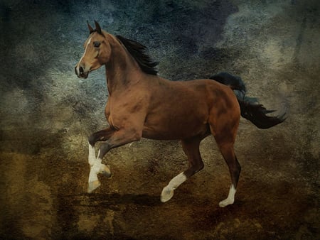 horse - horse, texture, image, animals