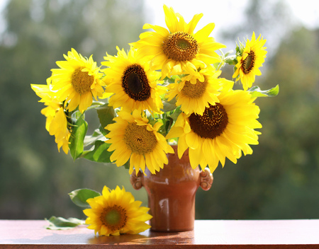 sunflowers - flowers, vase, sunflowers, still life