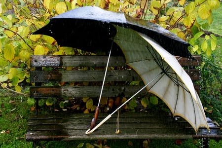 LOVE in the autumn .... - pretty, benches, grass, romance, forest, photo, retro, umbrella, old, rain, nice, trees, beautiful, photography, drops, wet, beauty, lovely, cool, love, harmony, nature, season, autumn, foliage, park, umbrellas