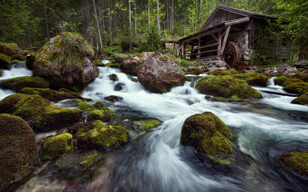 River - pretty, wood, grass, forest, nice, house, trees, water, beautiful, mill, photography, lovely, cool, stones, river, nature, pleasant