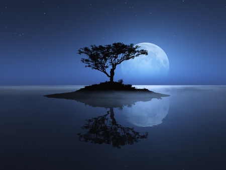 The moon kissing the sea - fun, trees, cool, reflection, river, tree, moon, ocean, stars, night, space, abstract, island moon, blue, island, sea, blue moon