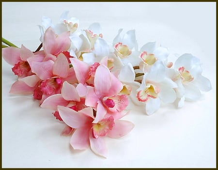 For Marina - flowers, beauty, white, pink