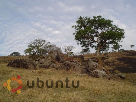 African ubuntu - arbol ubuntu, ubuntu