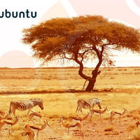 Wild ubuntu