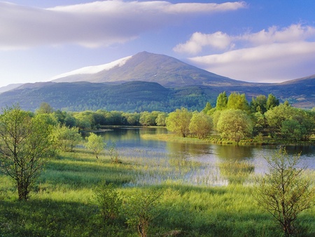 Fooding Green  - flood, flooding, green, floodland