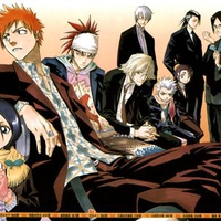 Bleach Crew