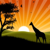 African-sunset