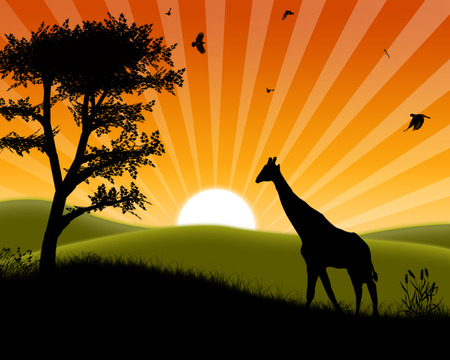 African-sunset - african-sunset