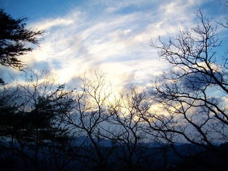 Looks like Heaven - clouds, trees, sunset, colors, sky