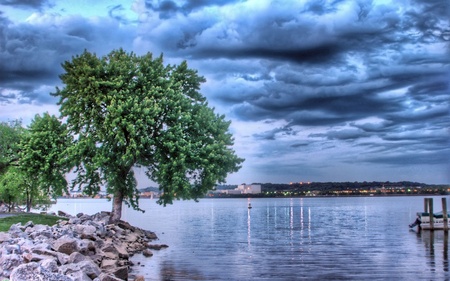 tree and lake  - tree-and-lake-