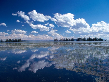 yellowstone lake  - yellowstone-lake-