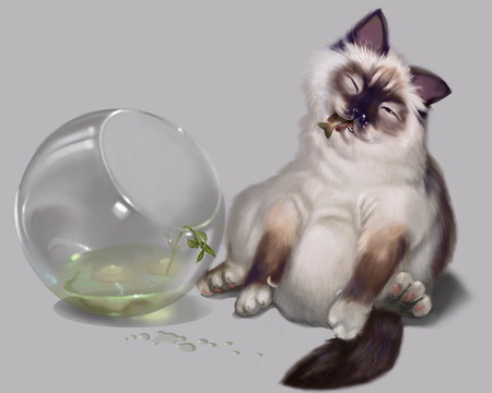 cat - aquarium, fish, funny, cat