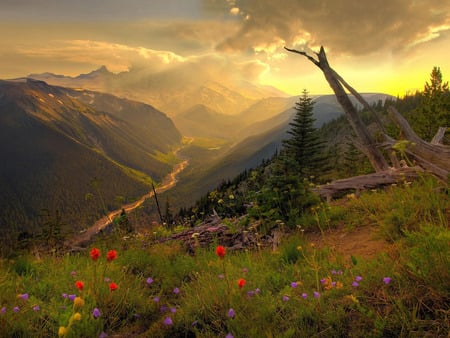 landscape - flowers, clouds, sunset, landscape, sky