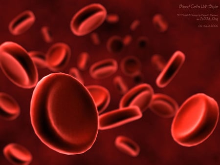 Red Cells - biology, blood, cells, photography, body, life