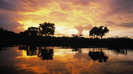 Sunset In Guyana - clouds, trees, beautiful, reflection, sunsets, nature, guyana, lakes, sky