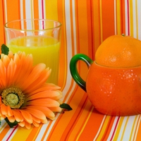 Orange arrangement