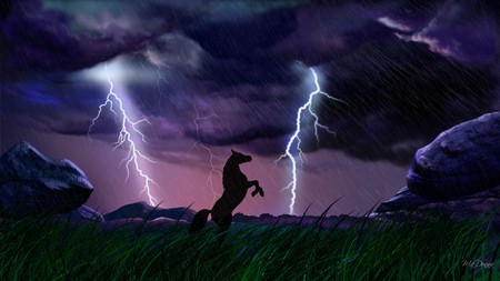 Dark and Stormy Night - sky, horse, clouds, lightning, grass, firefox persona, rocks, storm