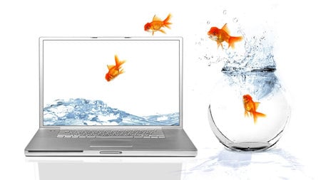 CRAZY JUMPING GOLDFISH - crazy, goldfish, screen, bowl, computer