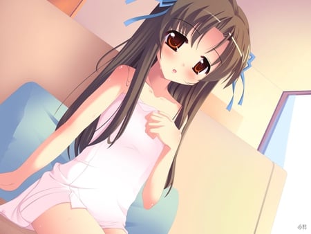 anime - long hair, brown eyes, dinig room, brown hair