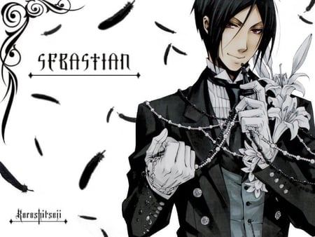 Sebastian the White Lily