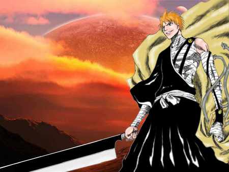 Ichigo at the sun set - first humean, soul reaper, ichigo, now