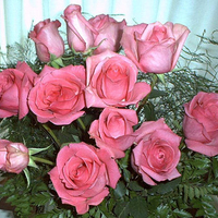 Bouquet of Pink Roses 1