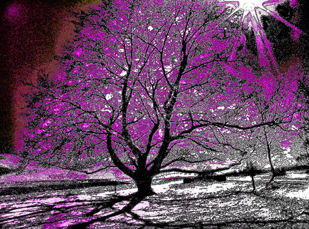 Purple... - beauty, branches, special, sun, image, interesting, view, abstract, purple, alone, 3d, beautiful, tree, garden