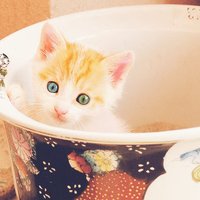 Hello green eyes;)
