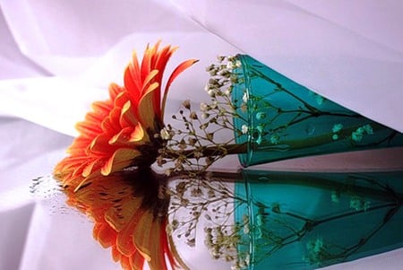 Reflection - colorful, flower arrangement, beautiful, dahlia, reflection, still life, natural