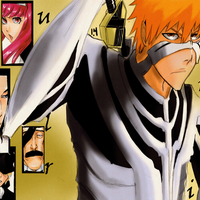 Ichigo's fullbring