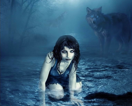 BEAUTY AND HER GUARDIANS - woman, wolves, howl, fog, night, water