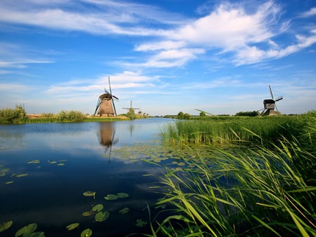 Dutch Mills - wallpaper, holland, river, mill, canal