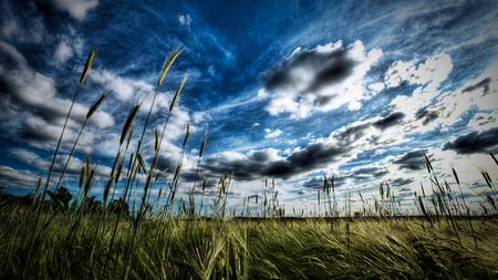 Majestic Skies - fields, beauty, sky, scenic, photography, white, nature, clouds, blue, grass