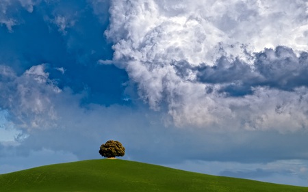 Tuscany Before the Storm - calm, clouds, blue, fields, beautiful, serene, tree, skies, nature, green, pictureque, rolling hill, lone