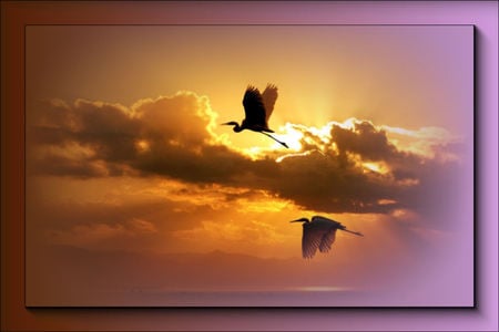 ketlandscape - painting, picture, sky, birds