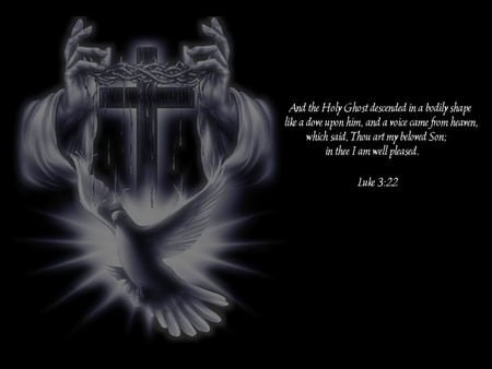 Original wallpaper by me entitled Luke 3:22 - holy spirit, jesus, god, dove