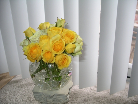 roses - vase, yellow, still life, roses