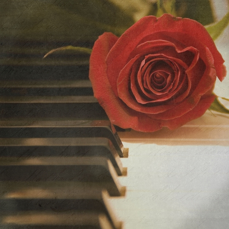 rose & piano - piano, still life, rose, red