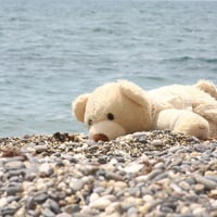 teddy bear on the beach