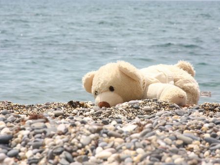 teddy bear on the beach - beach, joy, mood, animal, shingle, sea, teddy bear, fun wallpaper