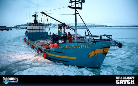 cornelia  Marie deadliest catch - cornelia, fansites, deadliestcatch, phill haris