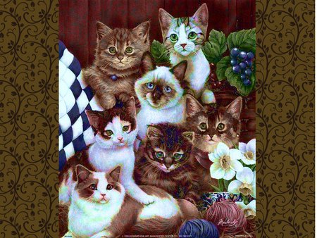 A lot of cats - pet, kitten, painting, art, cat