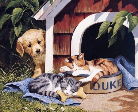 Sharing the house * By Persis Clayton - pet, kitten, painting, dog, puppy, art, cat, persis clayton