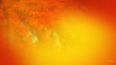 Fallen in Love - yellow, gold, orange, firefox persona, leaves, tree, fall, autumn, bright, subtle, color