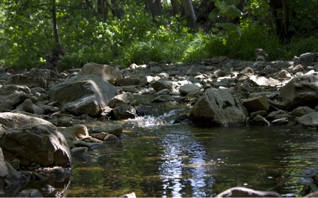 Belgium River - calm, nature, streams, rocks clear, forest, serene, beautiful, water